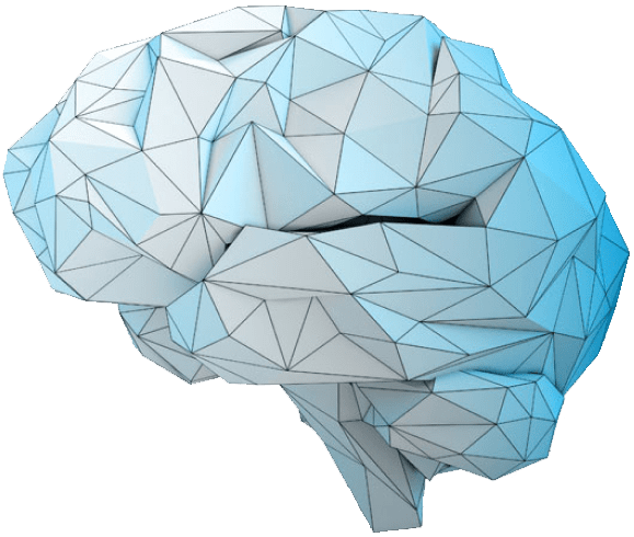 brain image to indicate cognitive performance